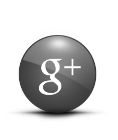 Google+ Button